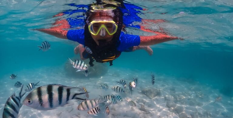 ค่ายวิทยาศาสตร์ทางทะเล